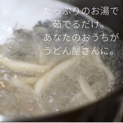 和ぁさんのおうどん　いたれりつくせりセット12人前(薬味付き)