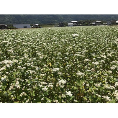 美馬市産そば粉(令和4年度産2kg)