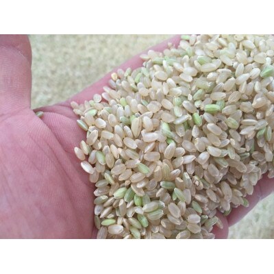 はなみち農園のうんまいお米・玄米  (令和4年産10kg)