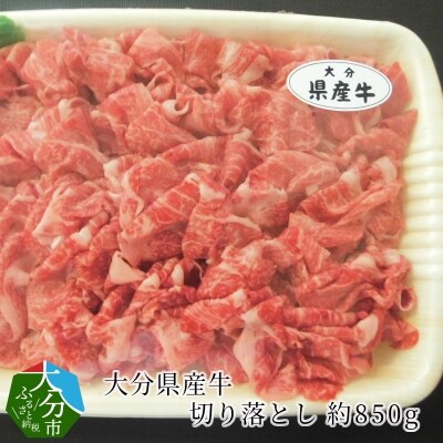 大分県産牛切り落とし 約850g_A01057