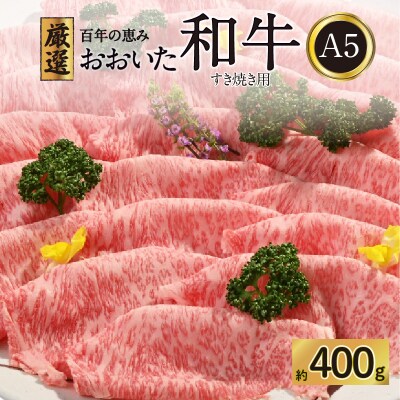 百年の恵み　おおいた和牛A5　すき焼用【厳選部位】約400g_A01099