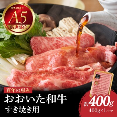 百年の恵み　おおいた和牛A5　すき焼用【厳選部位】約400g_A01099