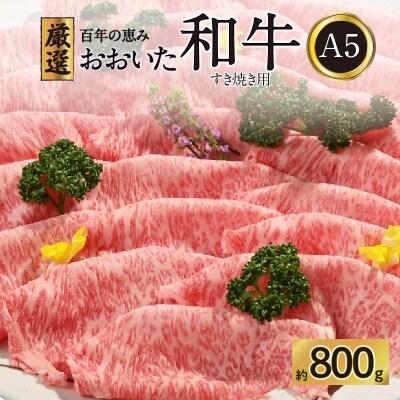 百年の恵み　おおいた和牛A5　すき焼用【厳選部位】約800g_A01100