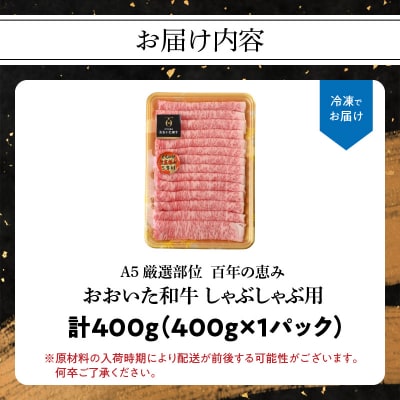 百年の恵み　おおいた和牛A5　しゃぶしゃぶ用【厳選部位】約400g_A01101