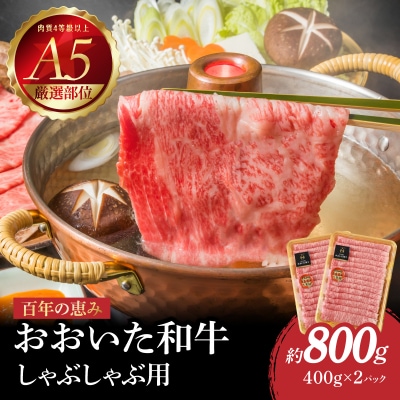 百年の恵み　おおいた和牛A5　しゃぶしゃぶ用【厳選部位】約800g_A01102