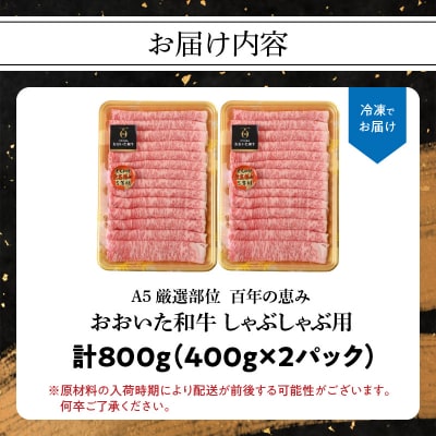 百年の恵み　おおいた和牛A5　しゃぶしゃぶ用【厳選部位】約800g_A01102