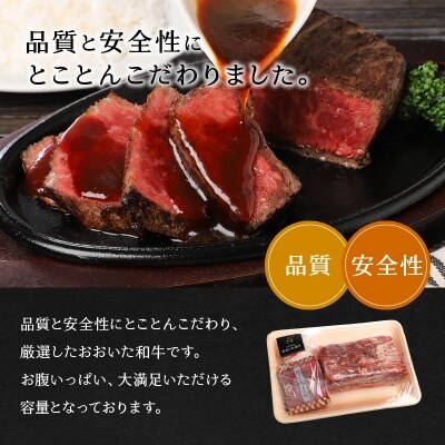 【おおいた和牛】1ポンドステーキ_A01067