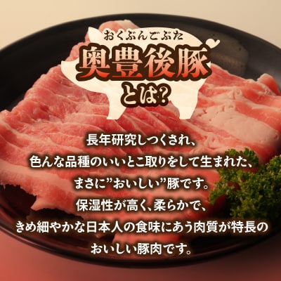 大分県産 奥豊後豚の丼セット 計7パック_A02025