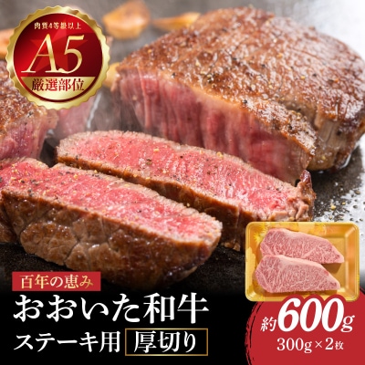 百年の恵み　おおいた和牛A5　ステーキ用厚切り【厳選部位】約600g_A01104