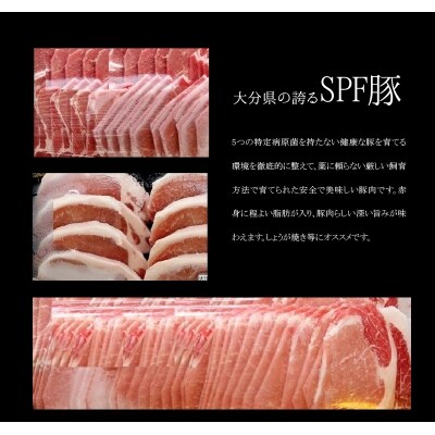 大分県産豚肉セット+大葉胡椒_A02005