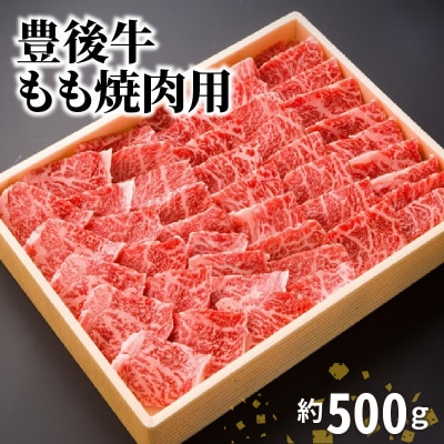 豊後牛もも焼肉用約500g_A01076