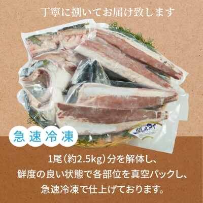 関ぶり丸ごと1尾 E お礼品詳細 ふるさと納税なら さとふる