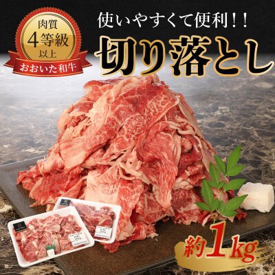 おおいた和牛　切り落とし　約1.0kg_A01095