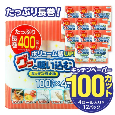 グッと吸い込むキッチンタオル100カット(4ロール×12パック)_R14030