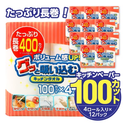 グッと吸い込むキッチンタオル100カット(4ロール×12パック)(キッチンペーパー)_R14030