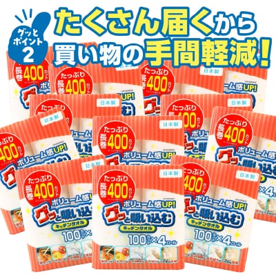 グッと吸い込むキッチンタオル100カット(4ロール×12パック)(キッチンペーパー)_R14030