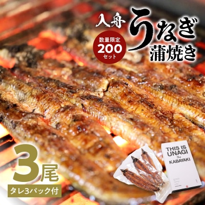 入舟 うなぎ 蒲焼き_E07004