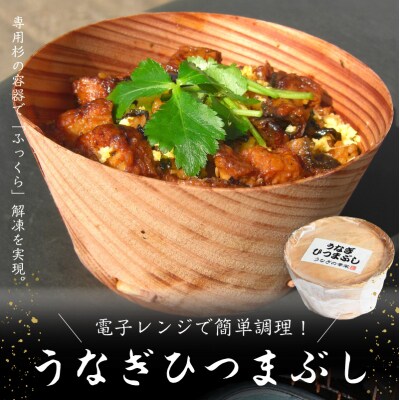 うなぎひつまぶし_E07005