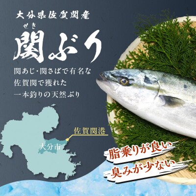 関ぶりの刺し身(柵状)　約600g_E04014