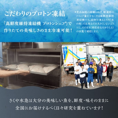 関ぶりの刺し身(柵状)　約600g_E04014