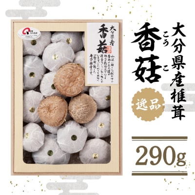 大分県産椎茸　香菇　逸品　IP-B_F07020