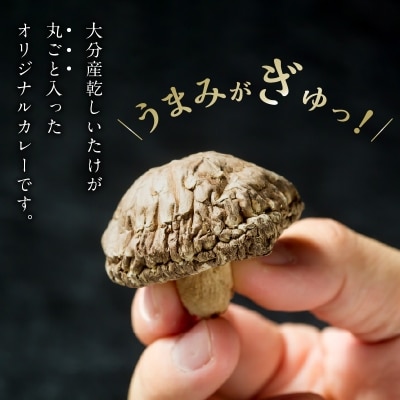 豊後きのこカレー_F07026