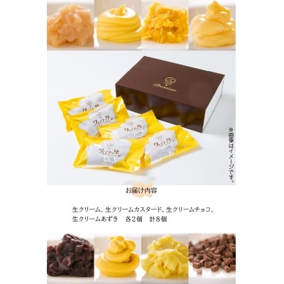 クロワッサン生地のクロボーノたい焼き(生クリームセット)B_J01016