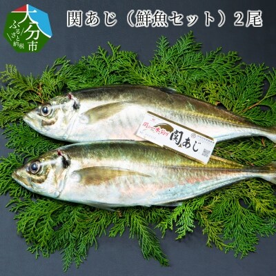 関あじ(鮮魚セット)2尾_E04023