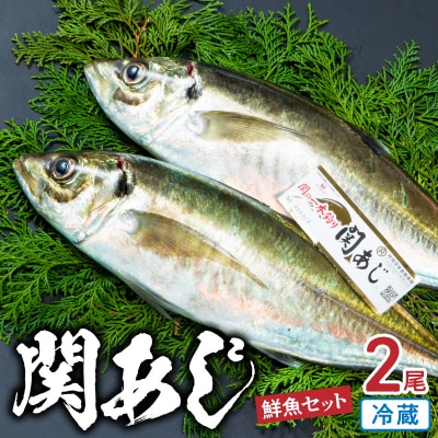 関あじ(鮮魚セット)2尾_E04023