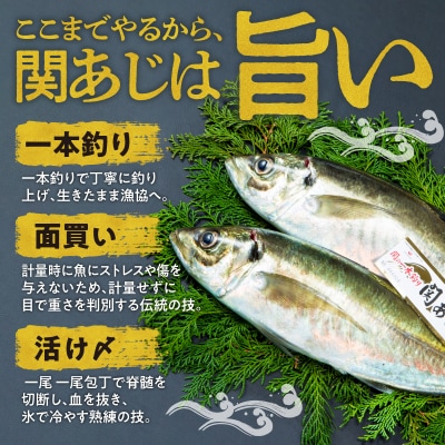 関あじ(鮮魚セット)2尾_E04023