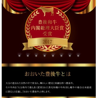 豊後黒毛和牛ステーキ・切り落し詰合せ約600g_A01039