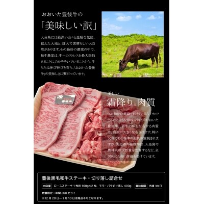 豊後黒毛和牛ステーキ・切り落し詰合せ約600g_A01039