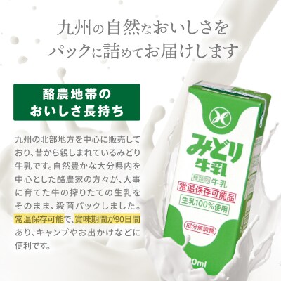 みどり牛乳とラクトコーヒーセット_I07001