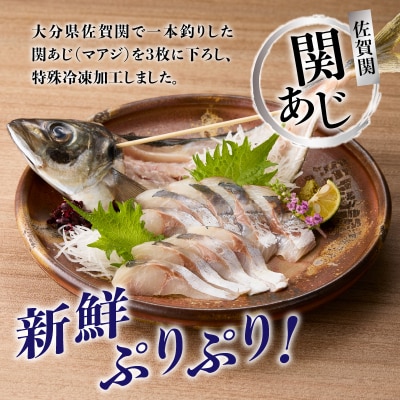 関冷刺　関あじ(大)_E04018