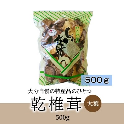 椎茸　大葉　500g_F07030