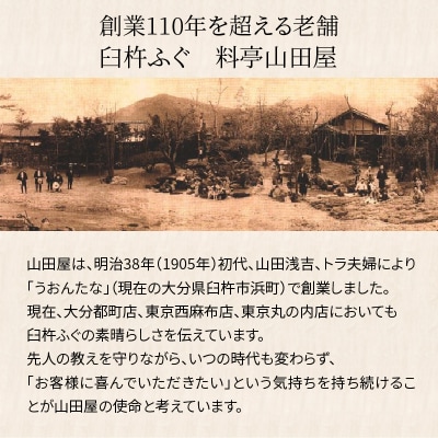 臼杵ふぐ山田や　ふぐ刺身セット　3人前_E05018