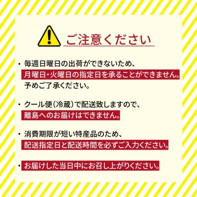 臼杵ふぐ山田や　ふぐ刺身セット　3人前_E05018