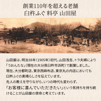 【12月1日以降配送】臼杵ふぐ山田や　ふぐ刺・ちり鍋セット　3人前　白子付き_E05020
