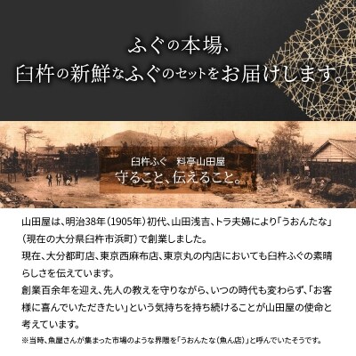 臼杵ふぐ山田や ふぐ刺身セット 2人前_E05017