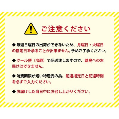 臼杵ふぐ山田や ふぐ刺身セット 2人前_E05017