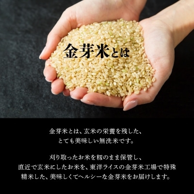 ヒノヒカリ金芽米4.5kgと紫黒米(古代米)300g_B01013
