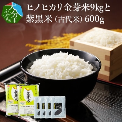 ヒノヒカリ金芽米9kgと紫黒米(古代米)600g_B01014