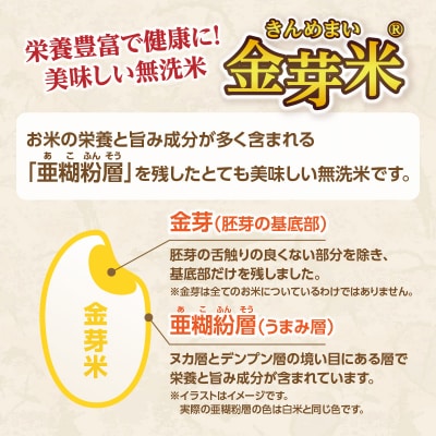大分丹生米の里ヒノヒカリ金芽米　4.5kg×2袋_B01020
