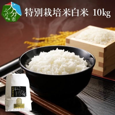 特別栽培米ぴかまる白米 10kg_B01021