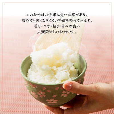 特別栽培米ぴかまる白米 10kg_B01021