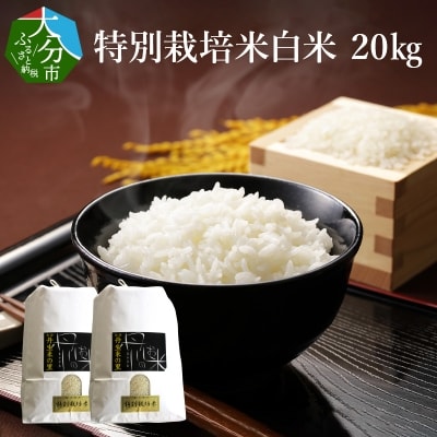 特別栽培米ぴかまる白米 20kg_B01022