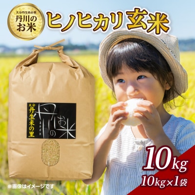 丹生米の里丹川のお米 ヒノヒカリ玄米 10kg_B02008