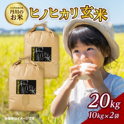 丹生米の里丹川のお米 ヒノヒカリ玄米 20kg_B02009
