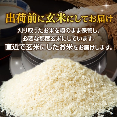 丹生米の里丹川のお米 ヒノヒカリ玄米 20kg_B02009