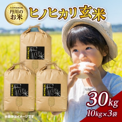 丹生米の里丹川のお米 ヒノヒカリ玄米 30kg_B02010